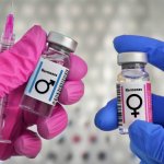 Two of the most commonly discussed approaches today are Hormone Replacement Therapy (HRT) and Bioidentical Hormone Replacement Therapy (BHRT).